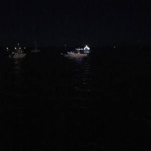 Meet your Posher, Daniela